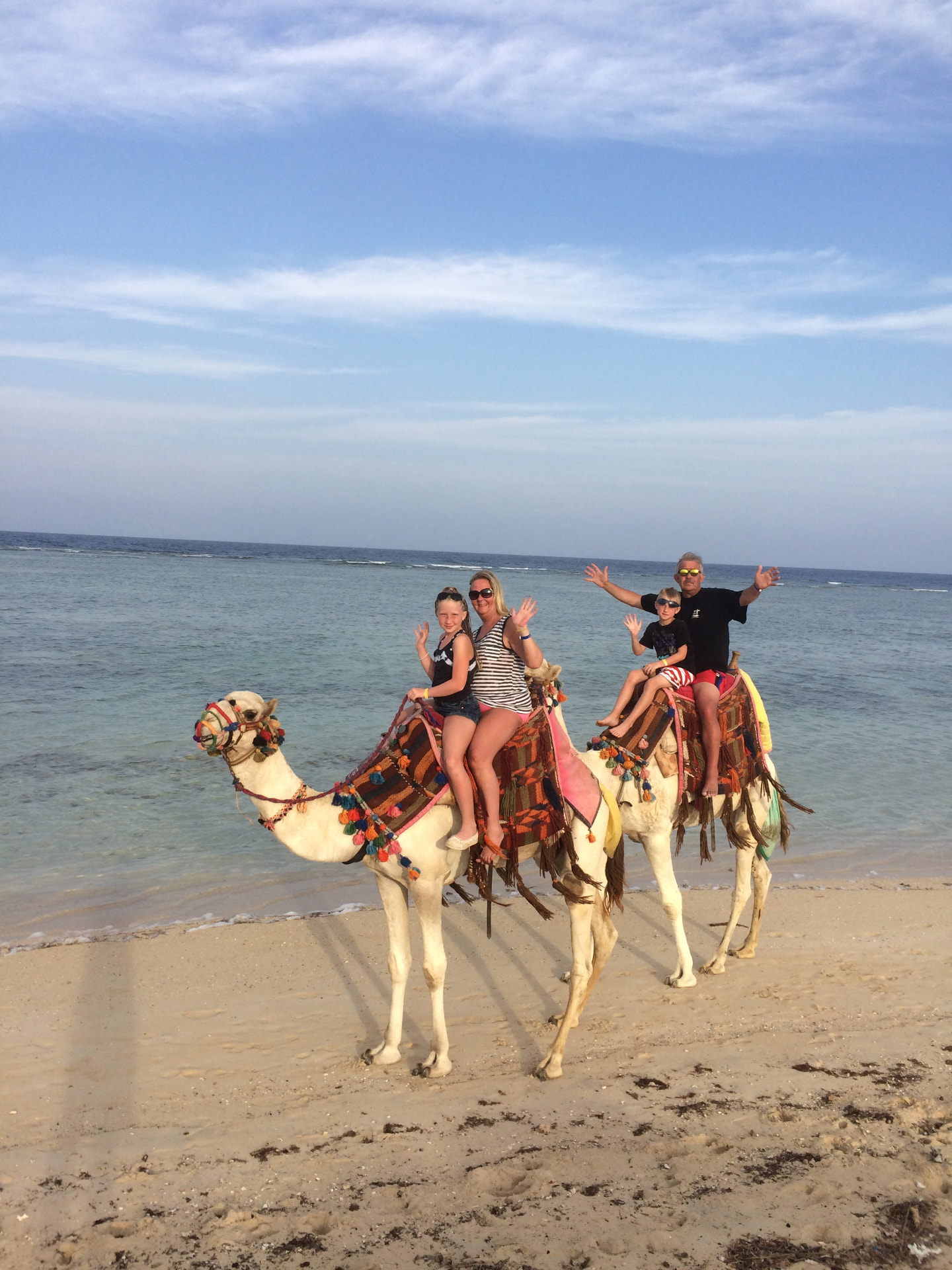 Familjen på kamelrygg vid stranden i Egypten